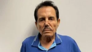 El mayo
