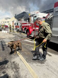 Héroes de Protección Civil rescatan perrito durante incendio en Escobedo