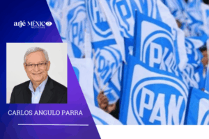 genera una clara tendencia en el PAN para abrirse a la selección de las dirigencias a través de procesos internos depurados de manipulaciones de los padrones.