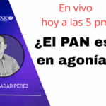 ¿El PAN es democrático?