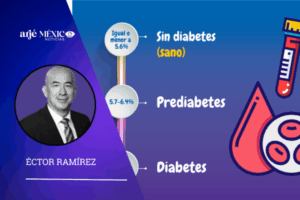 la prediabetes es el estado en el que los niveles de glucosa en sangre están por encima de lo normal, pero aún no cumplen los criterios diagnósticos de DM2.