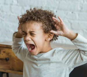 Es una crisis mayor, profunda y estructural, que afecta a la educación de Estados Unidos y Mexico