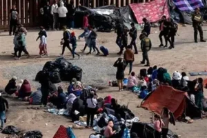 La ciudadanía no debe aceptar la violencia