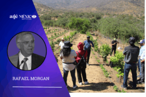 desde la Secretarías de la Defensa Nacional, de la Marina y desde los cuarteles y bases navales, llegan síntomas de que los que parecen mandar en México son los militares,