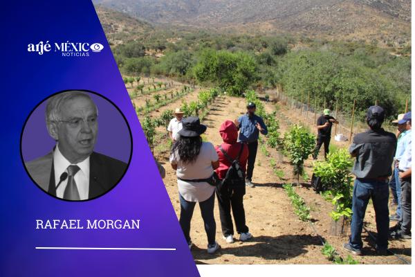 desde la Secretarías de la Defensa Nacional, de la Marina y desde los cuarteles y bases navales, llegan síntomas de que los que parecen mandar en México son los militares,