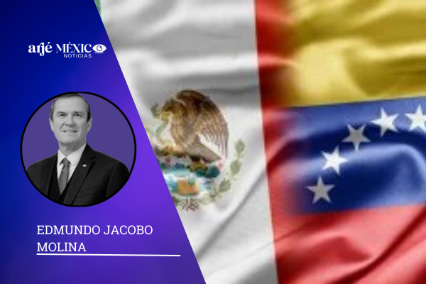 La descripción del proceso venezolano parece un manual de cómo se destruye la institucionalidad democrática.