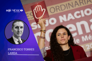 con tretas y trampas pseudo-legales se han derrumbado las columnas elementales de una democracia que estaba en construcción