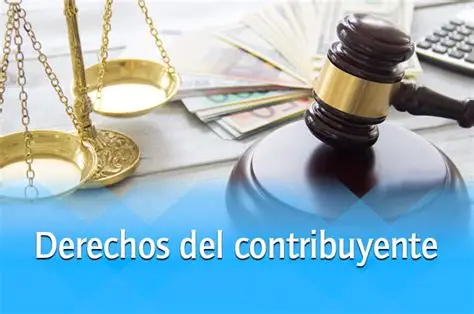 Mientras el Ejecutivo concentra facultades y recursos, el contribuyente carece de una instancia local que lo defienda, lo asesore y lo represente frente a arbitrariedades.