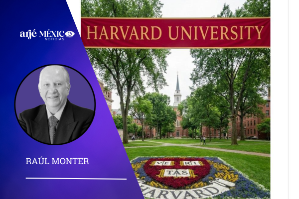 Durante décadas, Harvard protegió este nivel de visión a puerta cerrada. Ahora está en internet. Esperando a las personas que realmente lo usen.