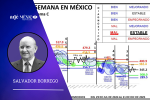 del 15 al 21 de diciembre de 2025, se registraron en México 334 homicidios.