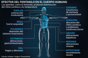 100.000 muertos al año en Estados Unidos. 163 en toda Europa en 2022. ¿Coincidencia? No. Historia.