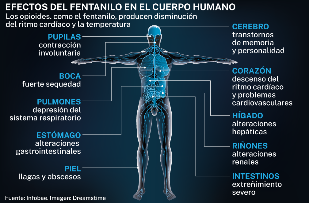 100.000 muertos al año en Estados Unidos. 163 en toda Europa en 2022. ¿Coincidencia? No. Historia.