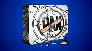 tristeza vemos que las dirigencias del PAN y sus militantes están totalmente callados ante el monstruo electoral que viene,