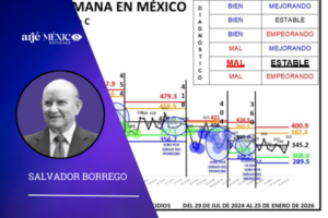 durante los días del 19 al 25 de enero de 2026, se registraron en México 355 homicidios.