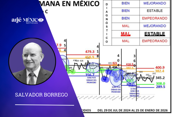 durante los días del 19 al 25 de enero de 2026, se registraron en México 355 homicidios.