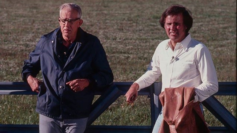 la Teoría de la emergencia cíclica de niveles de existencia