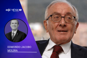 Ferrajoli dice; hay que avanzar hacia un derecho de corte federalista, un auténtico Estado de derecho global en el que la mayoría de los países —en particular aquellos con mayor influencia— acuerden reglas para evitar la destrucción de la humanidad