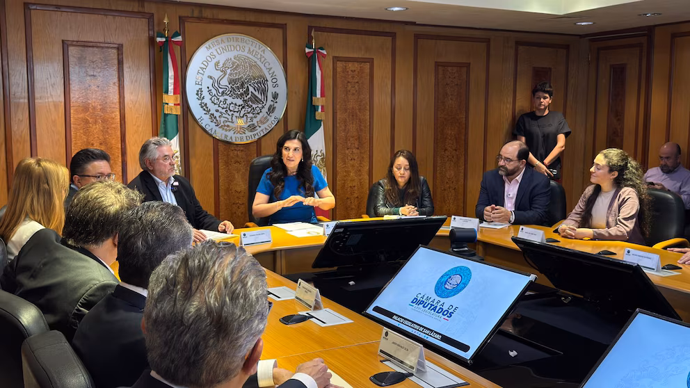 Este lunes 16 de febrero la organización política SomosMx sostuvo una reunión con la presidenta de la Cámara de diputados, Kenia López Rabadán para entregarle una propuesta cuyo objetivo es mejorar el sistema electoral de nuestro pais