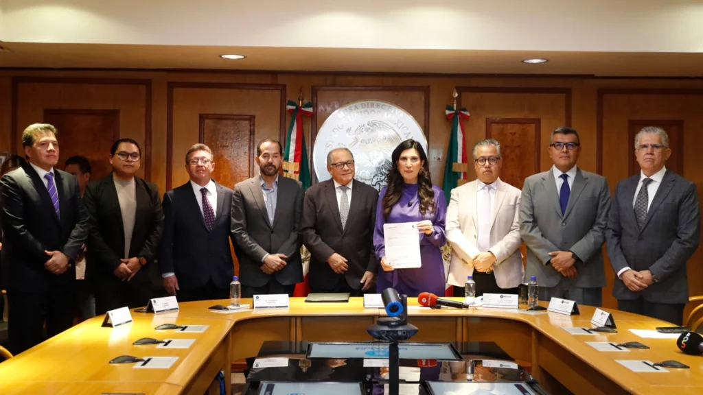 La ciudadanía podrá envíar propuestas en torno a la reforma electoral.