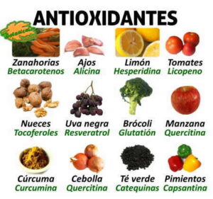 Una alimentación rica en antioxidantes ayuda a mantener el equilibrio del organismo,