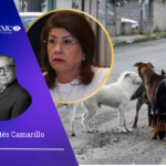 doña Maricela confiesa sin tapujos, y hasta con cierto orgullo, que durante su ejercicio como alcalde de Tecámac mandó matar a diez mil perros callejeros de su municipio.