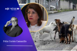 doña Maricela confiesa sin tapujos, y hasta con cierto orgullo, que durante su ejercicio como alcalde de Tecámac mandó matar a diez mil perros callejeros de su municipio.