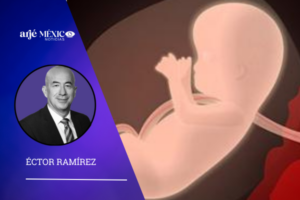 Las madres no solo prestan su cuerpo durante el embarazo