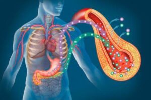 La Resistencia a la insulina no es solamente un problema de glucosa.