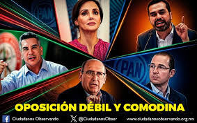 La oposición confunde desgaste del gobierno con construcción de alternativa. Sin propuestas claras, no habrá cambio político.