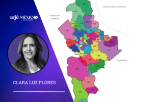 Clara Luz Flores Carrales presentó la página web “La verdad es CLARA” (laverdadesclara.com.mx).
