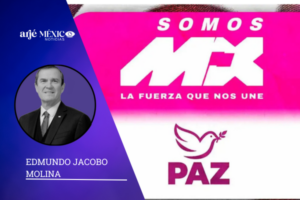 El financiamiento destinado a los partidos no aumenta, simplemente se redistribuye entre un mayor número de fuerzas políticas.