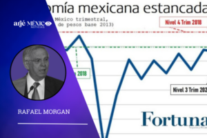 Se tiene un México sin servicios públicos suficientes o en decadencia, con ciudades en las que millones de mexicanos no tienen agua, drenaje, salud, educación, seguridad, diversiones y empleo, en resumen, no tienen una clara posibilidad de vivir y convivir en paz y con un futuro accesible,