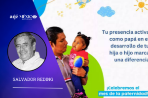 el rol o papel del padre de familia no puede ser desempeñado ni por la madre, la abuela u otra mujer que cuide niños.