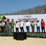 Se van a plantar 1.3 millones de arboles en NL