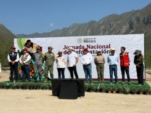 Se van a plantar 1.3 millones de arboles en NL