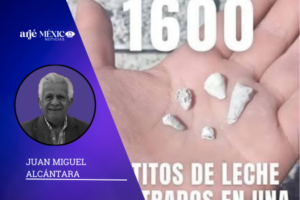 1,600 dientitios de bebes fueron encontrados en una fosa en Michoacán