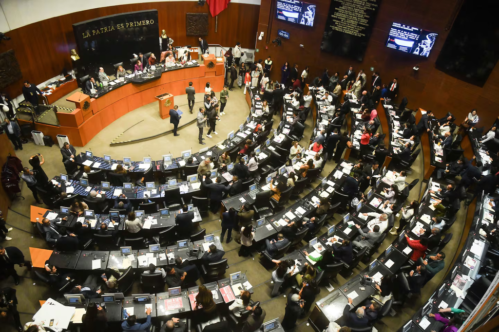 Reforma sobre doble nacionalidad: ¿por qué limitarla a Presidencia y gubernaturas?