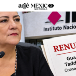 Tadei renuncia al INE, es suficiente?